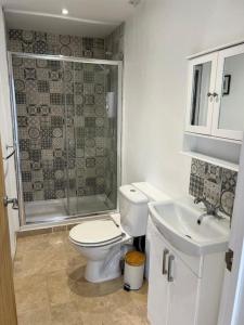 a bathroom with a toilet and a shower and a sink at 2 bedroom cottage in Old Town in Swindon