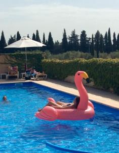 Uma mulher montada num flamingo insuflável numa piscina. em Hotel Terriciaë Maussane em Maussane les Alpilles