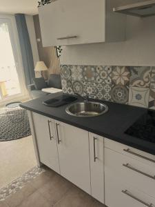 a kitchen with a sink and a living room at Studio vue sur mer avec véranda - Roscoff in Roscoff