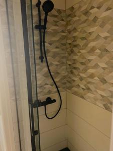 a shower with a shower head in a bathroom at Studio vue sur mer avec véranda - Roscoff in Roscoff