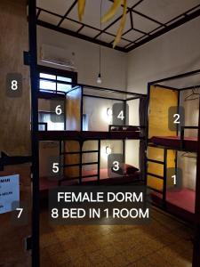 a room with four bunk beds with the words female dorm bed in room at SEMERU HOSTEL MALANG in Malang