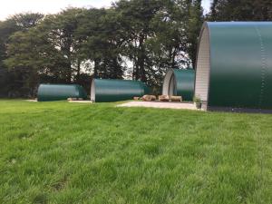 a grassy field with domed structures in a park at Thornfield Farm Luxury Glamping Pods, The Dark Hedges, Ballycastle in Stranocum