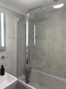 a bathroom with a shower and a sink and a tub at The White Hart Apartment Valley View in Alton