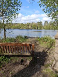 un banco de madera sentado frente a un lago en Guildford Road Cottage, en Ash