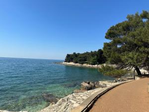 a beach with a tree and the water at Rooms MARE in Poreč