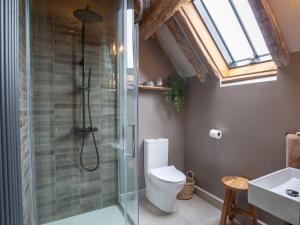 a bathroom with a shower and a toilet and a sink at The Barns at Stoneythorpe in Southam