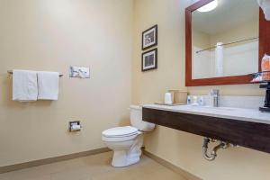 y baño con aseo, lavabo y espejo. en Comfort Inn Greenville I-65 en Greenville