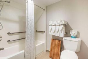 ein Badezimmer mit einem weißen WC und einer Dusche in der Unterkunft Comfort Inn Conference Center Bowie in Bowie