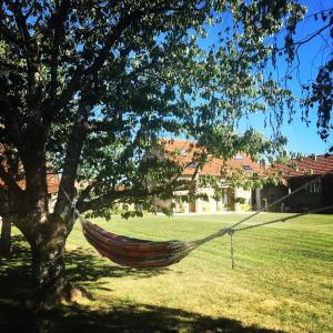 a hammock hanging from a tree in a yard at Le Clos n°5 in Villy-le-Moutier