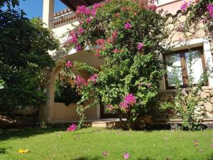 una casa con flores rosas a un lado. en Hotel Mariposas, en Villasimius