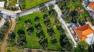 an overhead view of a yard with trees and a house at Myrtilli Cottages Pelion in Áno Lekhónia