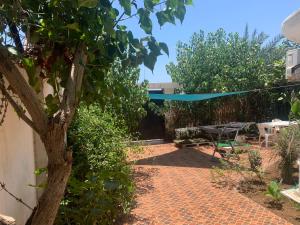 patio z drzewem i ogrodzeniem w obiekcie BRISE DE MER : 2 ROOM / CHAMBRES w mieście Dżibuti