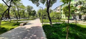 un sentiero in un parco con panchina e alberi di Chilanzar-21, Tashkent a Tashkent