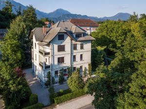 布萊德的住宿－Cozy apartments in an authentic villa near the lake Bled and the castle，享有高山房屋的空中景致