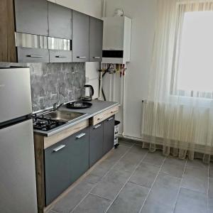uma cozinha com um lavatório e um fogão em Prieteniei Nr. 11 em Rovinari
