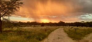 a dirt road in a field with a rainbow in the sky at Camp Mara in Omaruru