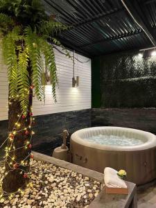 uma casa de banho com uma grande banheira e uma palmeira em Hideout Nimman em Chiang Mai