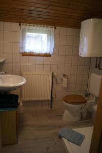 a bathroom with a toilet and a sink at Landhof Kützin Ferienhaus Spatz 1 in Wulfskuhl +6 photos