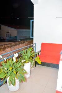 three potted plants on a balcony with a red bench at Iwawe by IBC- Entire house in Kigali