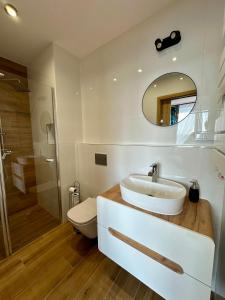 een badkamer met een wastafel, een toilet en een spiegel bij Skalny Widok in Hucisko