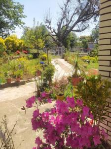 a garden with flowers and plants in a yard at The Oasis Terrace at Rana's Niwas in Dharamshala