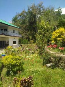a garden in front of a house with flowers at The Oasis Terrace at Rana's Niwas in Dharamshala
