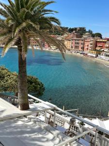a palm tree sitting on a balcony next to a beach at Hotel Helvetia in Sestri Levante