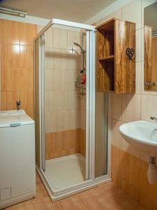 a shower with a glass door next to a sink at Chalupa Žárovička in Velké Losiny