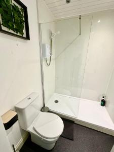 a white bathroom with a toilet and a shower at Cosy stylish Dumbarton flat in Dumbarton
