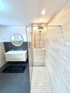 La salle de bains est pourvue d'une douche, d'un lavabo et d'un miroir. dans l'établissement Luxurious cozy house 10 minutes from Charles de Gaulle Airport, à Tremblay-en-France