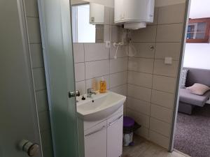 Baño pequeño con lavabo y espejo en Pension U Stašáků, en Jetřichovice