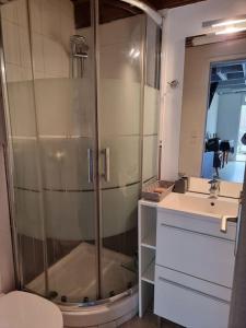 ein Bad mit einer Dusche, einem WC und einem Waschbecken in der Unterkunft Maison Bretagne in Saint-Jacut-de-la-Mer