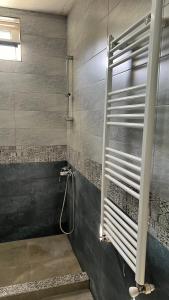 une salle de bain avec une douche avec une porte vitrée dans l'établissement Garden House Tbilisi, à Tbilissi