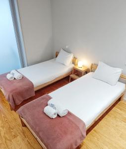 Легло или легла в стая в BO - Aníbal Cunha