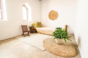 a bedroom with a bed and a potted plant at Salaam Space in Muscat