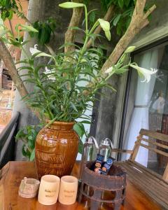 a vase sitting on a table with a plant in it at Pu Luong Ecostay in Lũng Tiềm