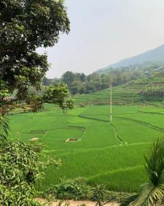 um campo verde com uma cruz no meio em Pu Luong Ecostay em Lũng Tiềm