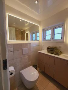 La salle de bains est pourvue de toilettes, d'un lavabo et d'un miroir. dans l'établissement Tinghus Flat, à Skagen