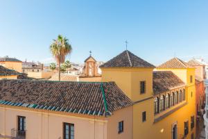 einen Blick auf die Dächer von Gebäuden in der Unterkunft Balcón de la Catedral in Málaga