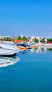a group of boats docked in a body of water at شقه غروب البحر in Obhor