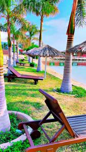 a beach chair and tables and palm trees on a beach at شقه غروب البحر in Obhor