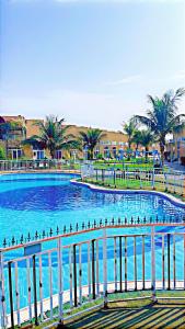 a large swimming pool with blue water and palm trees at شقه غروب البحر in Obhor