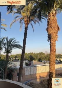 due palme di fronte a un edificio di Gîte Hôtel Gezira Louxor 2 a Luxor