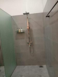 a bathroom with a shower with a glass door at Coza Ceylon in Karagampitiya