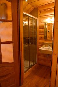 a bathroom with a glass shower and a sink at Highland Retreat Dzianisz in Witów