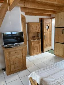 salon z telewizorem i drewnianymi szafkami w obiekcie Fravgia veglia w mieście Andeer