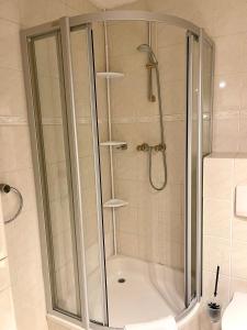 um chuveiro com uma caixa de vidro na casa de banho em Apartment Berghof Ellmau em Ellmau