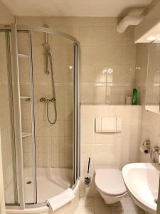 埃尔毛Apartment Berghof Ellmau的带淋浴、马桶和水槽的浴室