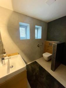 ein Badezimmer mit einem Waschbecken und einem WC sowie zwei Fenster in der Unterkunft Apartmán v soukromí Hať (u Ostravy) in Hať