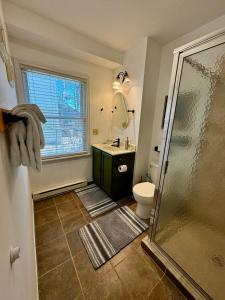 a bathroom with a shower and a sink and a toilet at Central Lake Placid Hideaway in Lake Placid